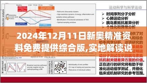 2024新奥资料免费精准资料,词语释义解释落实