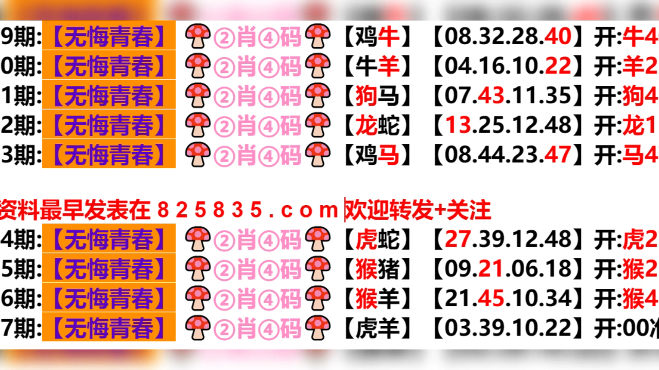 新澳2024一肖一码道玄真人,词语释义解释落实